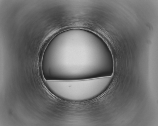 X0000112061452200908041001