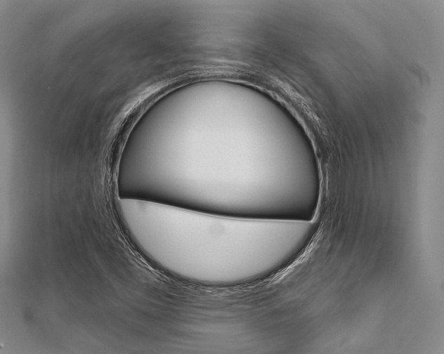 X0000112061453200908041001