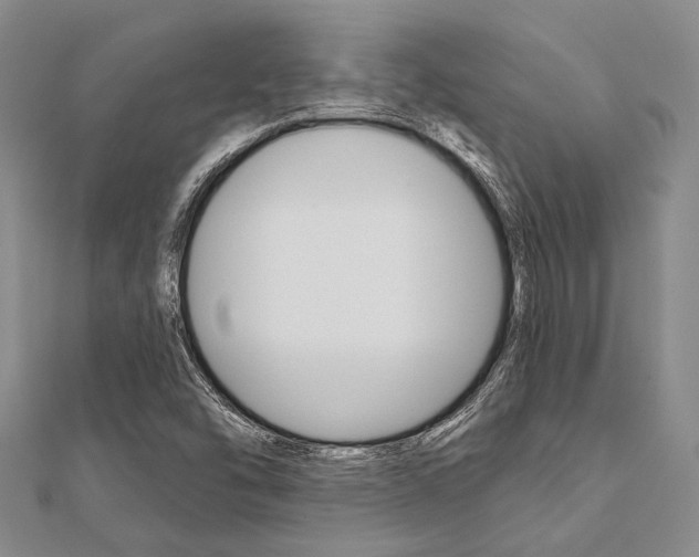 X0000112061454200908041001