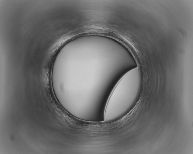 X0000112061455200908041001