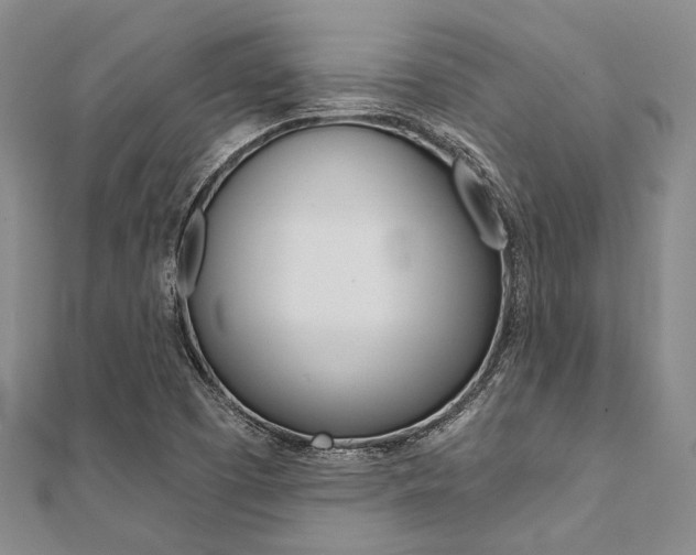 X0000112061457200908041001
