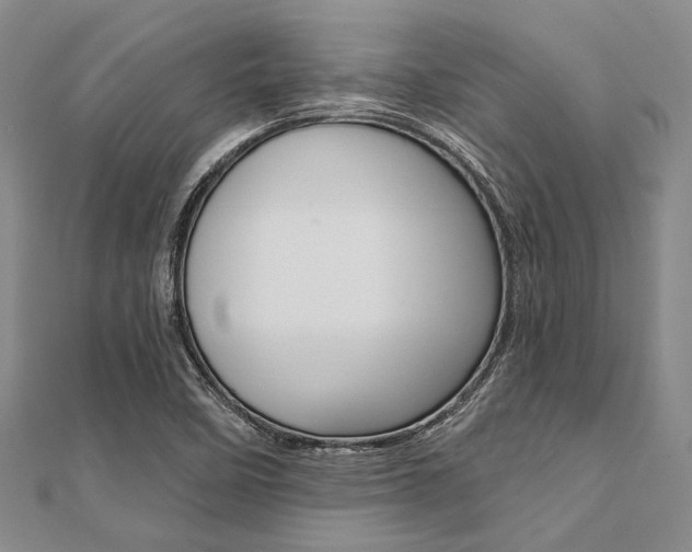 X0000112061458200908041001