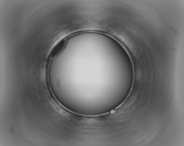 X0000112061460200908041001