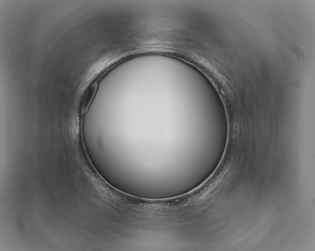 X0000112061461200908041001