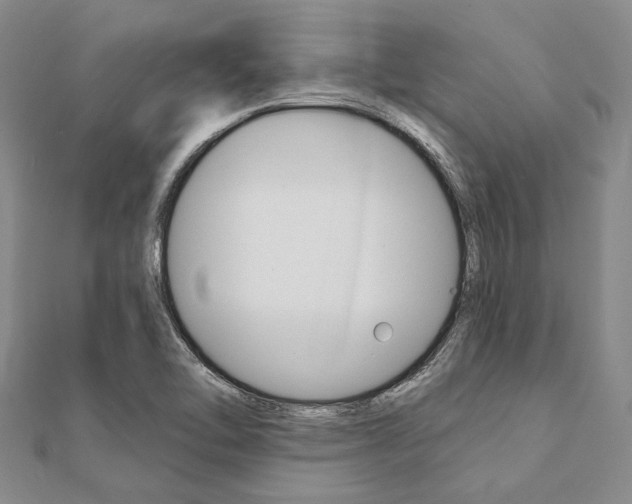 X0000112061462200908041001