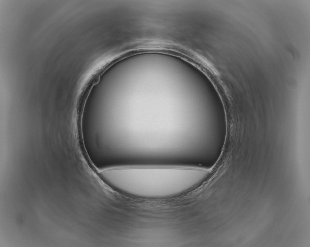 X0000112061464200908041000
