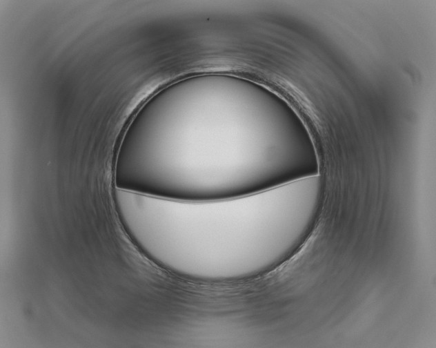 X0000112061465200908041000