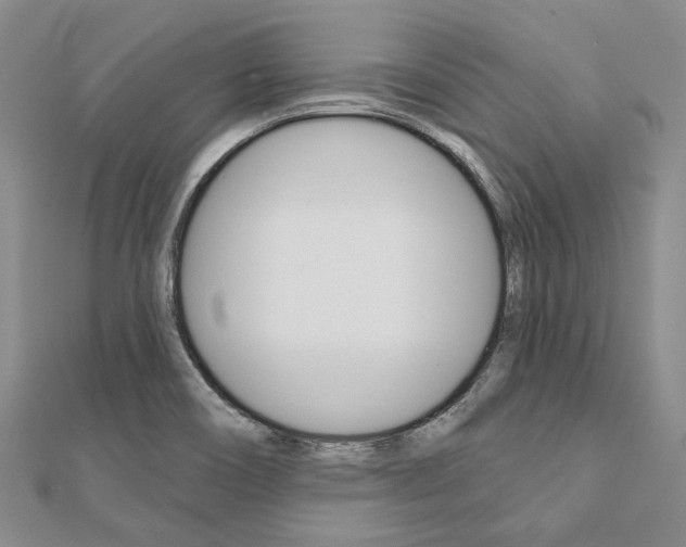 X0000112061466200908041000