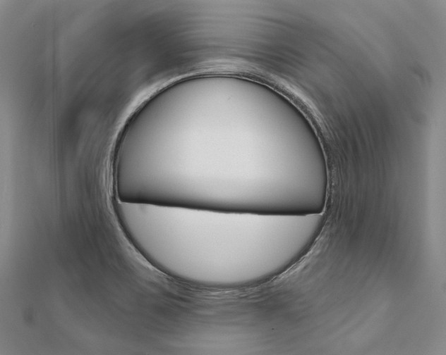 X0000112061467200908041000