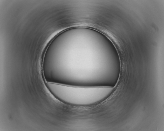 X0000112061468200908041000