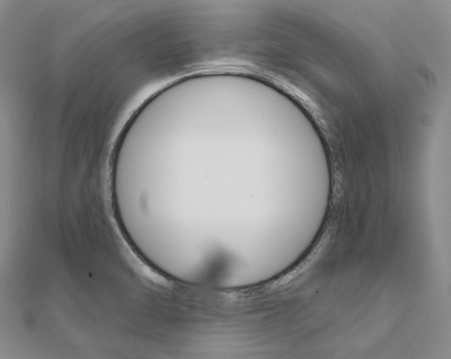 X0000112061470200908041000