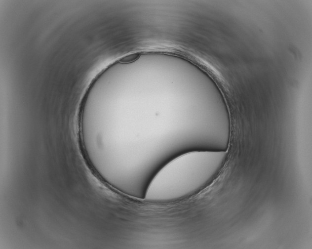 X0000112061471200908041000