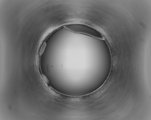 X0000112061472200908041000