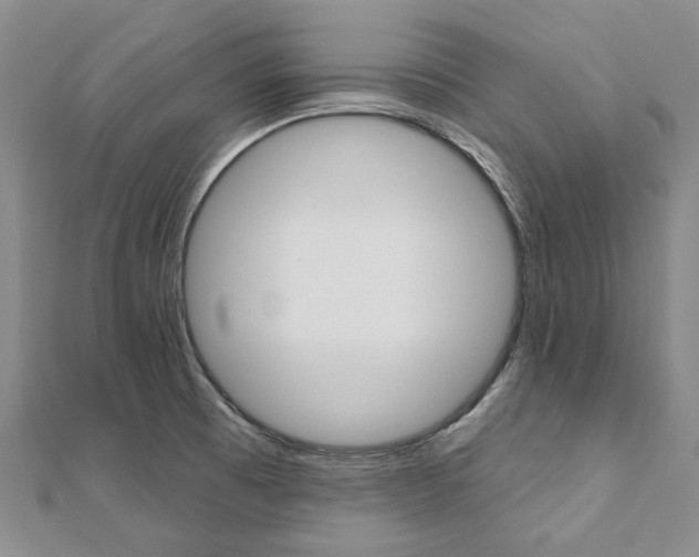 X0000112061473200908041000