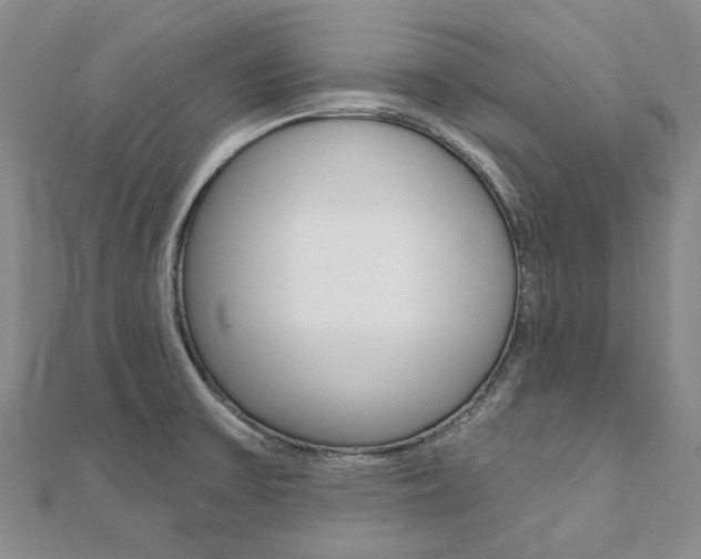 X0000112061475200908041000