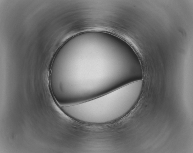 X0000112061476200908041000