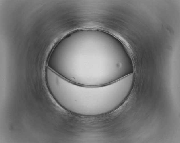 X0000112061477200908041000