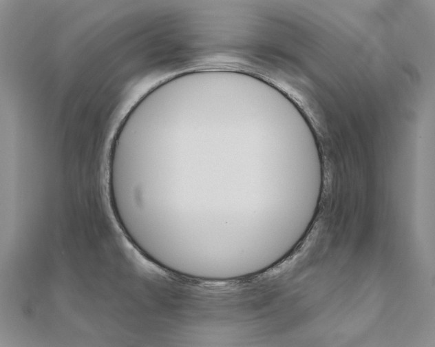 X0000112061478200908041000