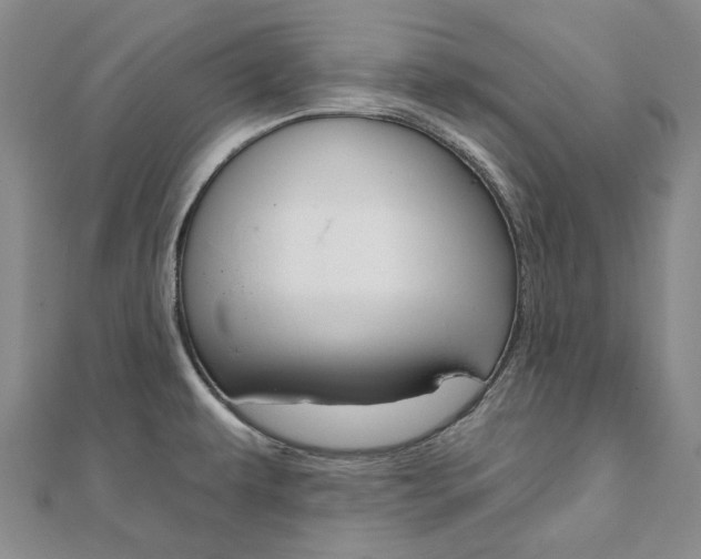 X0000112061479200908041000