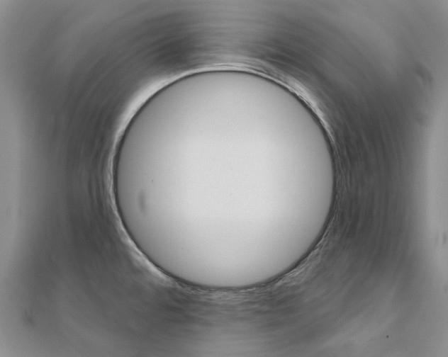 X0000112061480200908041000