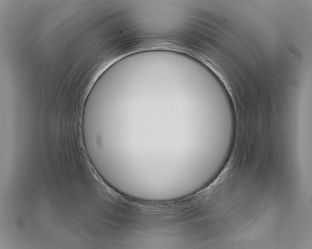 X0000112061481200908041000