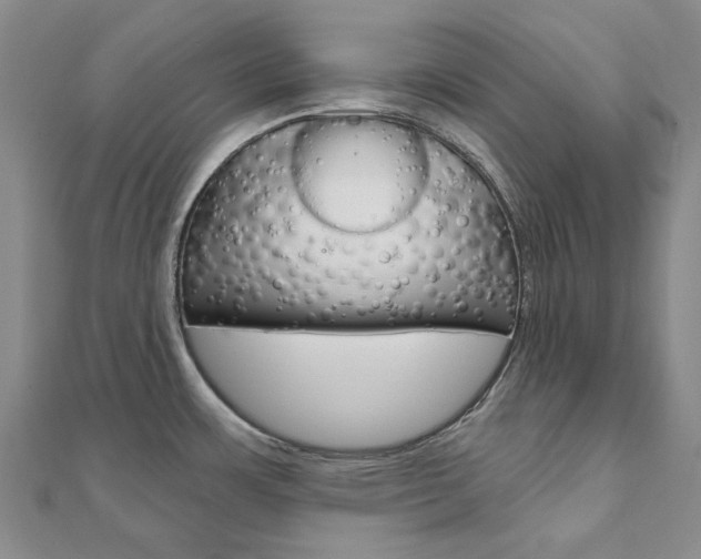 X0000112061483200908041000