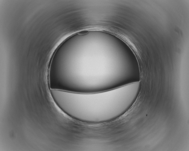 X0000112061484200908041000