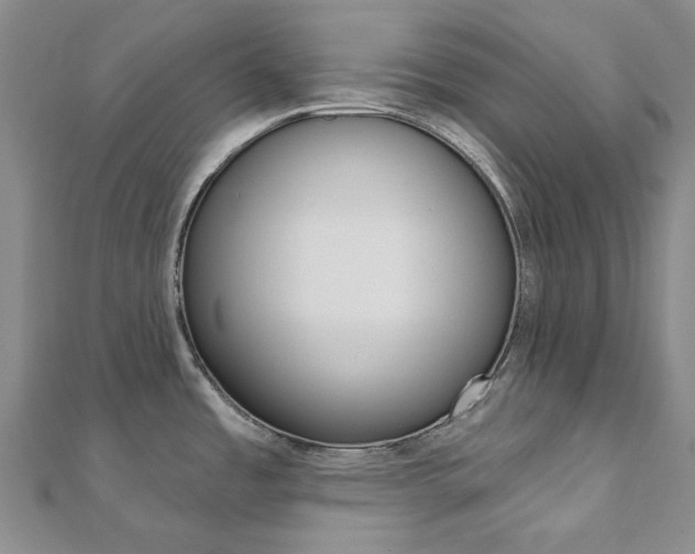 X0000112061485200908041000