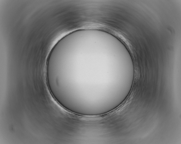 X0000112061487200908041000