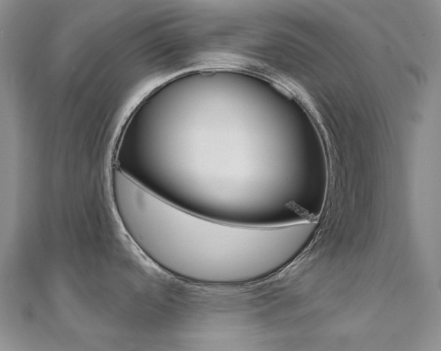 X0000112061488200908041000