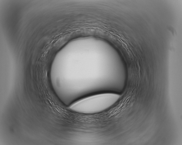 X0000112061489200908040959