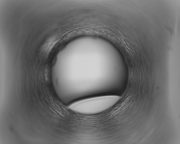 X0000112061490200908040959