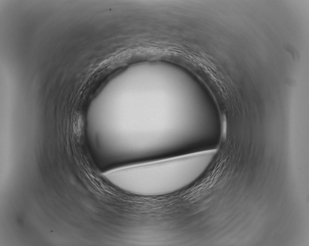X0000112061492200908040959