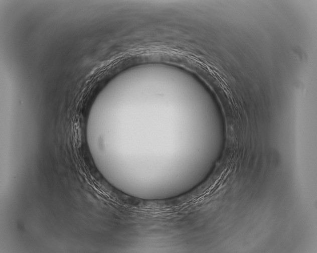 X0000112061493200908040959