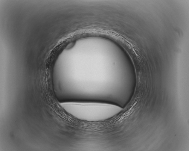 X0000112061494200908040959