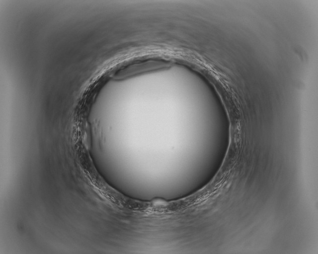 X0000112061496200908040959