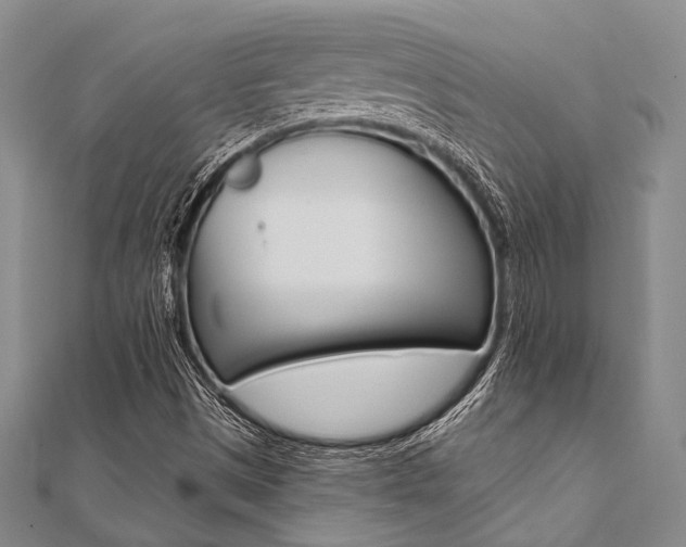 X0000112061497200908040959