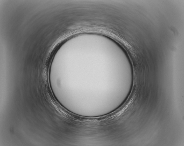 X0000112061498200908041000