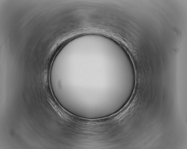 X0000112061499200908041000