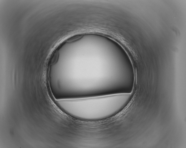 X0000112061500200908041000