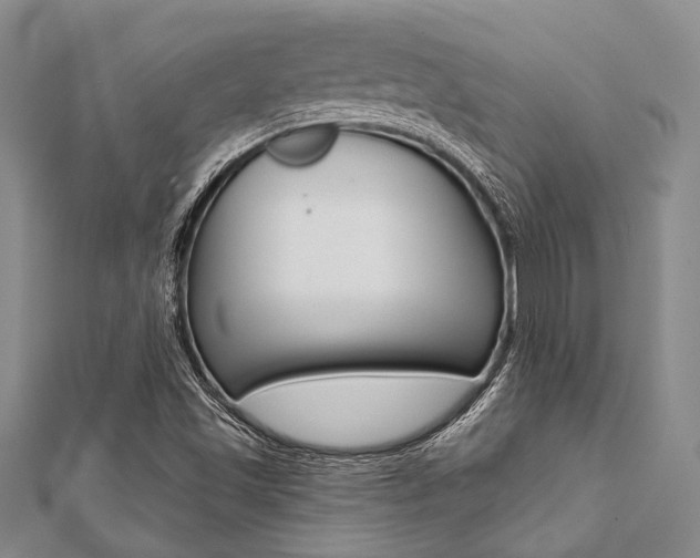 X0000112061501200908041000