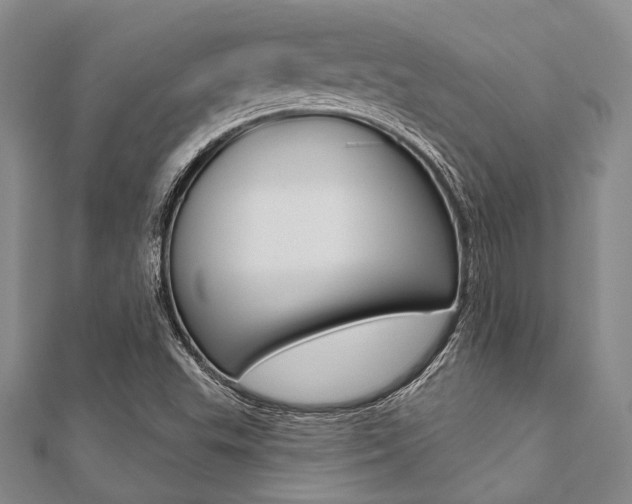 X0000112061503200908041000
