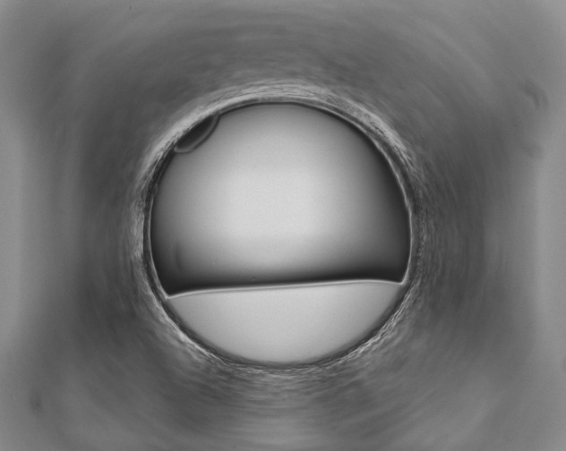 X0000112061504200908041000