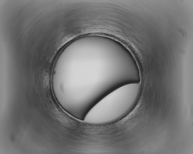 X0000112061505200908041000