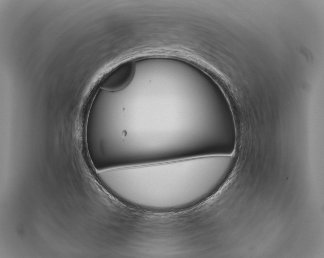 X0000112061506200908041000