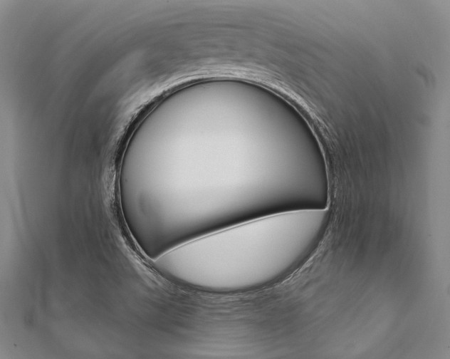 X0000112061507200908041000