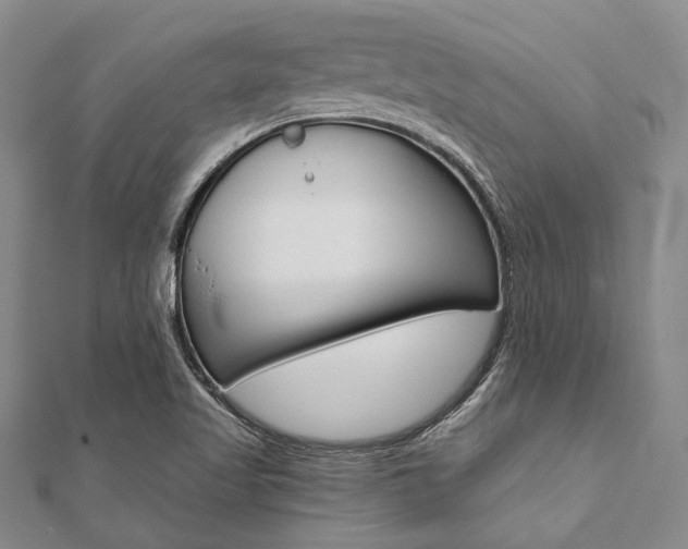 X0000112061509200908041000