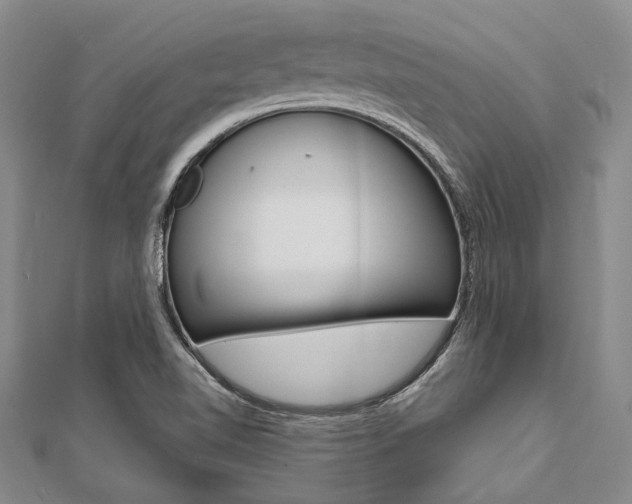 X0000112061510200908041000