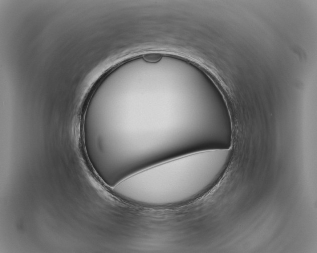 X0000112061511200908041000