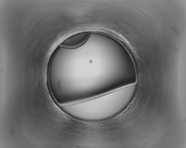 X0000112061512200908041000